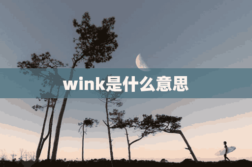 wink是什么意思(wink是什么意思中文)